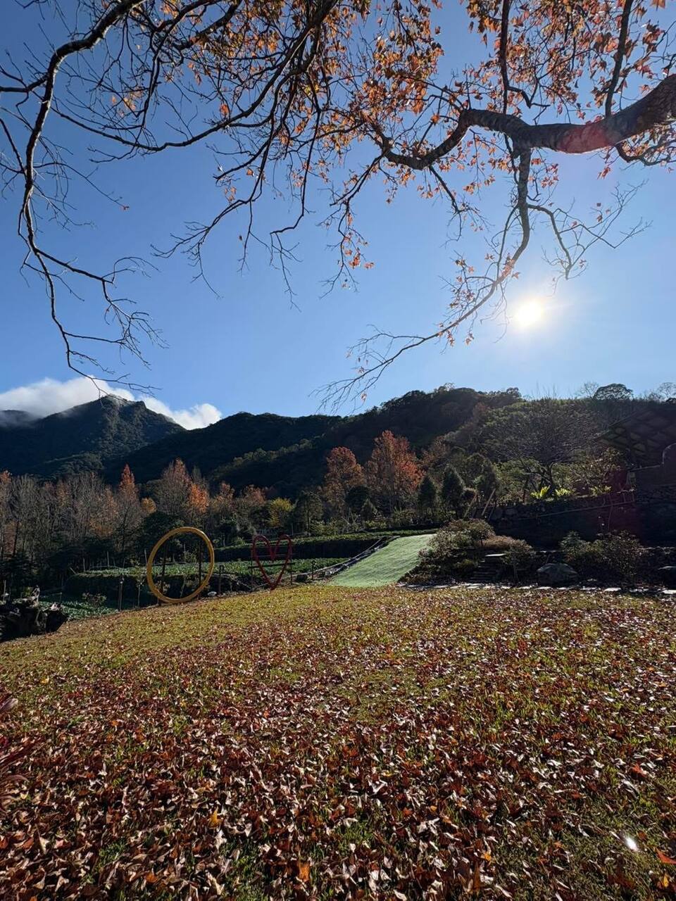 文萱居・別館 秋季楓紅