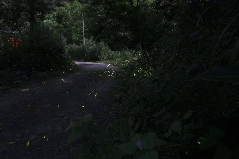 文萱居・別館 夏季避暑